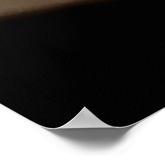 PALITOS pass Poster (Hoek)