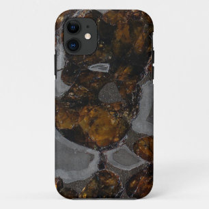 Pallasite iPhone 11 Hoesje
