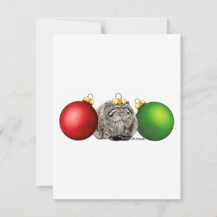 Pallas's cat - carte de vacances
