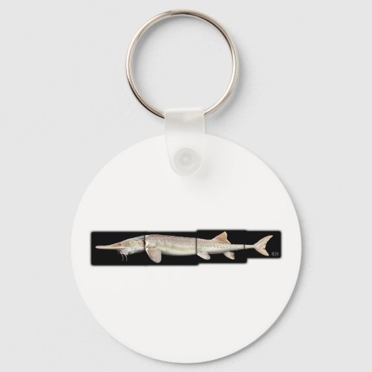 Pallid Sturgeon - Scaphirhynchus albus Sleutelhanger (Voorkant)