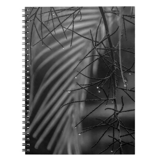Palm and rain Spiral Photo Notebook Notitieboek (Voorkant)