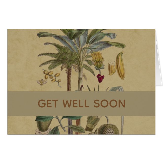 Palm Antiek tropische vruchten botanische kunst (Voorkant Horizontaal)