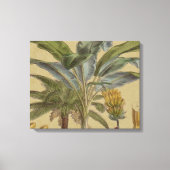 Palm Antiek tropische vruchten botanische kunst Canvas Afdruk (Voorkant)