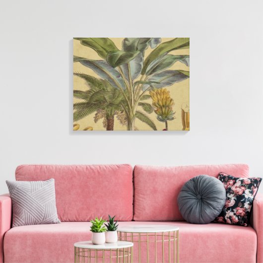 Palm Antiek tropische vruchten botanische kunst Canvas Afdruk (Insitu (Woonkamer))