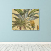 Palm Antiek tropische vruchten botanische kunst Canvas Afdruk (Insitu (Houten vloer))