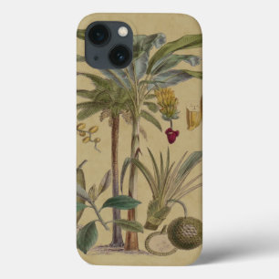 Palm Antiek tropische vruchten botanische kunst iPhone 13 Hoesje