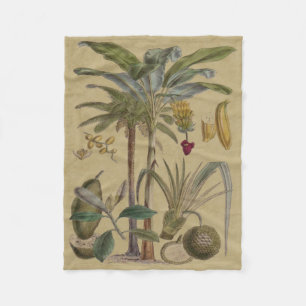 Palm Antiek tropische vruchten botanische kunst Fleece Deken