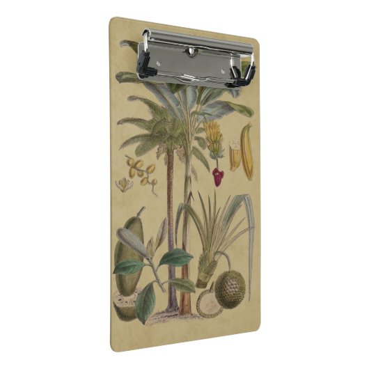 Palm Antiek tropische vruchten botanische kunst Mini Klembord (Schuin)