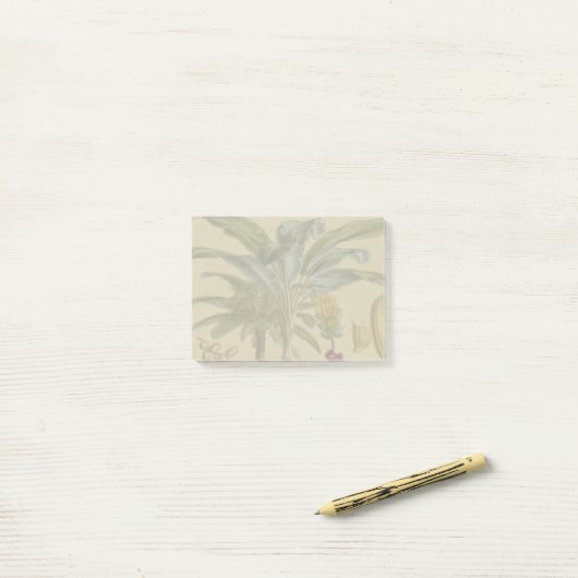 Palm Antiek tropische vruchten botanische kunst Post-it® Notes (Op bureau)