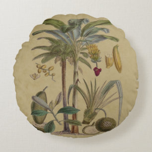 Palm Antiek tropische vruchten botanische kunst Rond Kussen
