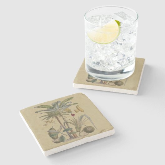 Palm Antiek tropische vruchten botanische kunst Stenen Onderzetter (Zijkant)