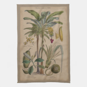 Palm Antiek tropische vruchten botanische kunst Theedoek