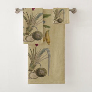 Palm Antique Fruit Tropical Art Botanique