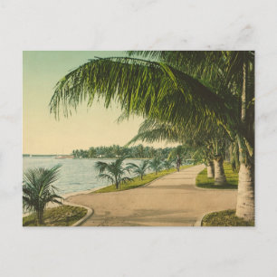 Palm Beach 1898  Florida scene Briefkaart