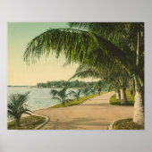 Palm Beach 1898  Florida scene Poster (Voorkant)