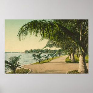 Palm Beach 1898 vintage Florida scène Poster