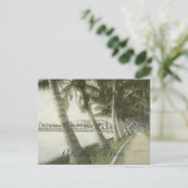 Palm Beach 1905 Briefkaart (Staand voorkant)