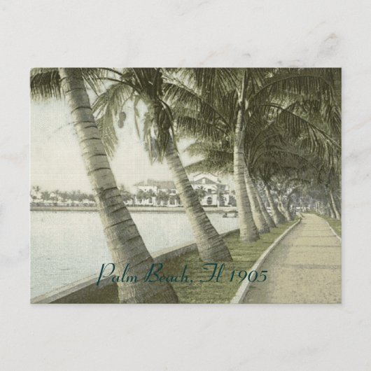Palm Beach 1905 Briefkaart (Voorkant)
