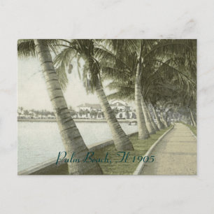 Palm Beach 1905 Prentbriefkaart Briefkaart