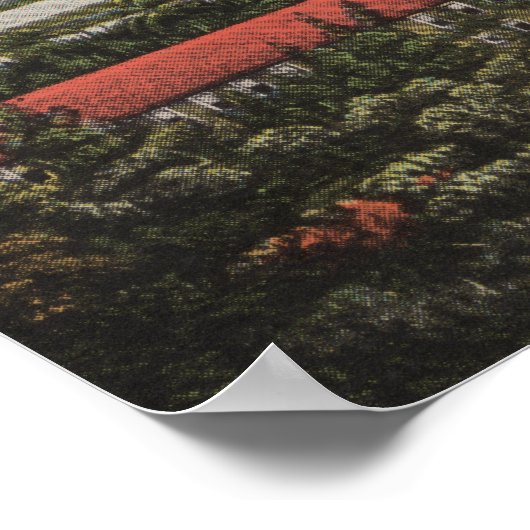 Palm Beach, FL - Whitehall, Poinciana, Beach Poster (Hoek)