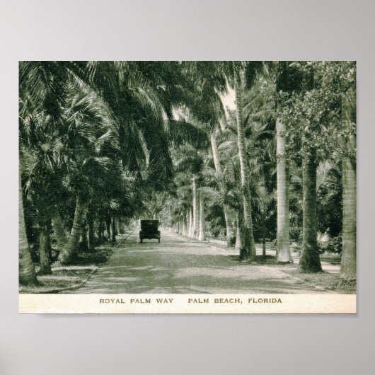 Palm Beach, Florida, Royal Palm Way Poster (Voorkant)