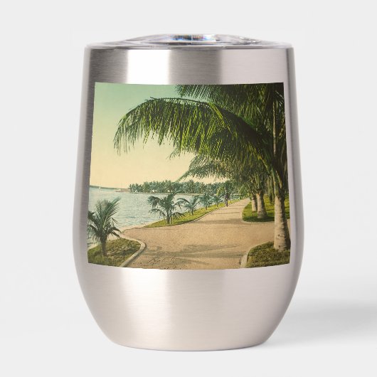 Palm Beach vintage Florida Scene (Voorkant)