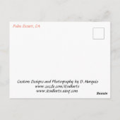 PALM DESERT #1 BRIEFKAART (Achterkant)