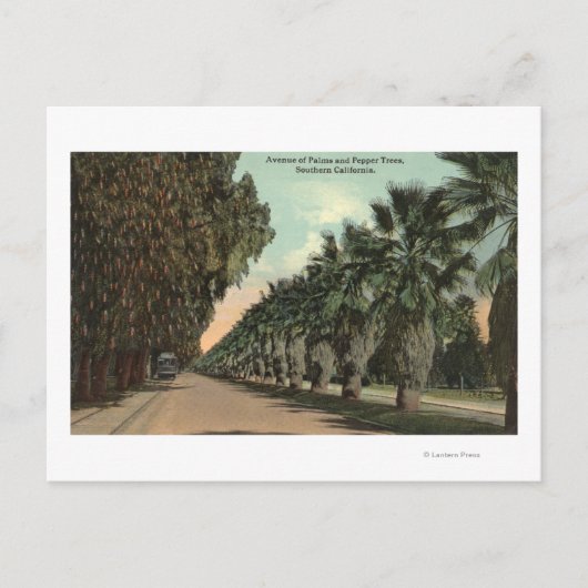 Palm en Pepper Trees naast Avenue Briefkaart (Voorkant)