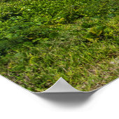 Palm Fringed Kolovai Beach Poster (Hoek)