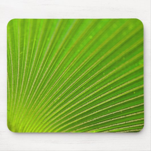 Palm Frond Green Pattern Muismat (Voorkant)