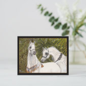 Palm Grove Arabe carte postale (Debout devant)