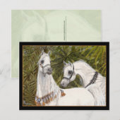 Palm Grove Arabe carte postale (Devant / Derrière)