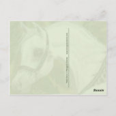 Palm Grove Arabe carte postale (Dos)