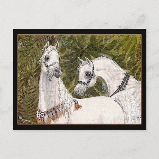 Palm Grove Arabe carte postale (Devant)