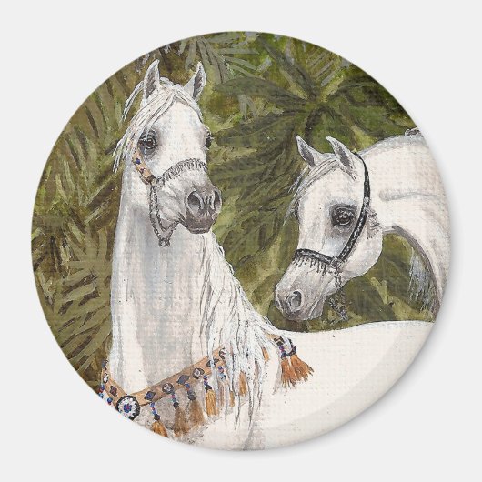 Palm Grove Arabe cheval ronde aimant (Devant)