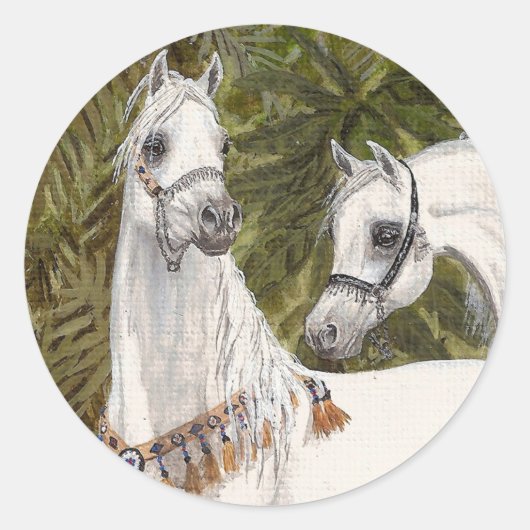 Palm Grove Arabische paard stickers (Voorkant)