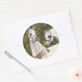 Palm Grove Arabische paard stickers (Envelop)