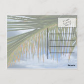 Palm Leaf Briefkaart (Achterkant)