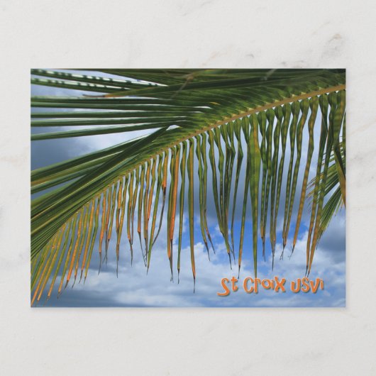 Palm Leaf Briefkaart (Voorkant)
