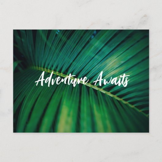 Palm Leaf Post Kaart (Voorkant)