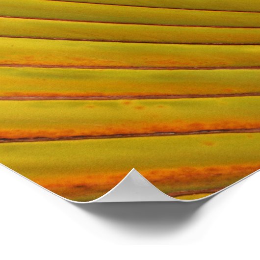 Palm Leaf Poster (Hoek)