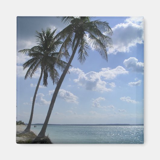 Palm Magnet 2 (Devant)