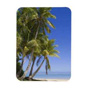 Palm omzoomd strand Cook Eilanden 3 Magneet