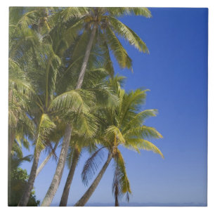 Palm omzoomd strand Cook Eilanden 3 Tegeltje
