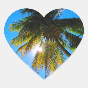 Palm Paradise Blue Sky Sunshine Hart Sticker