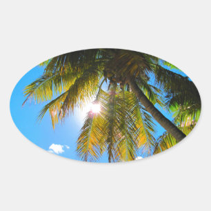 Palm Paradise Blue Sky Sunshine Ovale Sticker