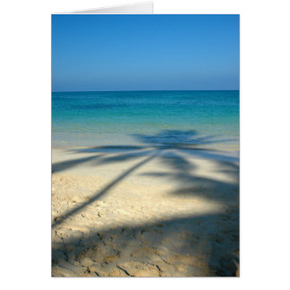 Palm, Plage de Lanikai