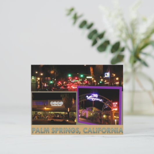 PALM SPRINGS #6 CARTE POSTALE (Debout devant)