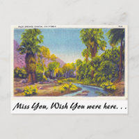 Palm Springs Canyon, Californië