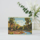 Palm Springs Canyon, Californië Briefkaart (Staand voorkant)